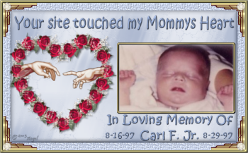 Carl Jr Memorial